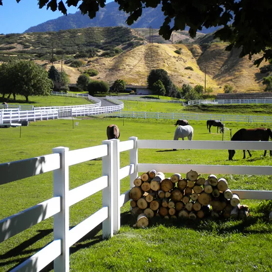 Cerca de vinil de 3 trilhos